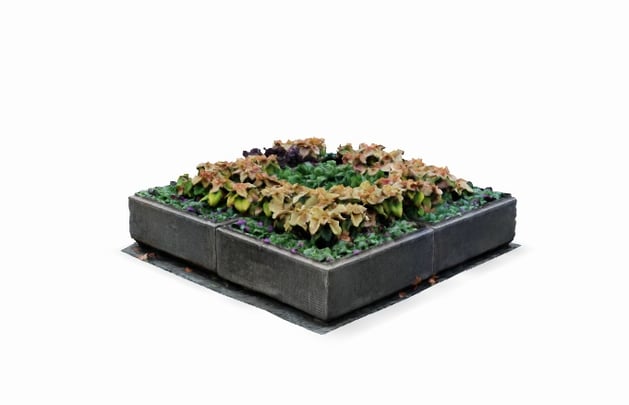Exteriör av byggnaden Blommor