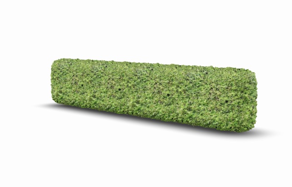 Exteriör av byggnaden Häck - lång